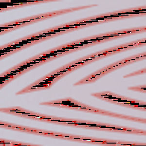 Meet your Posher, Camille